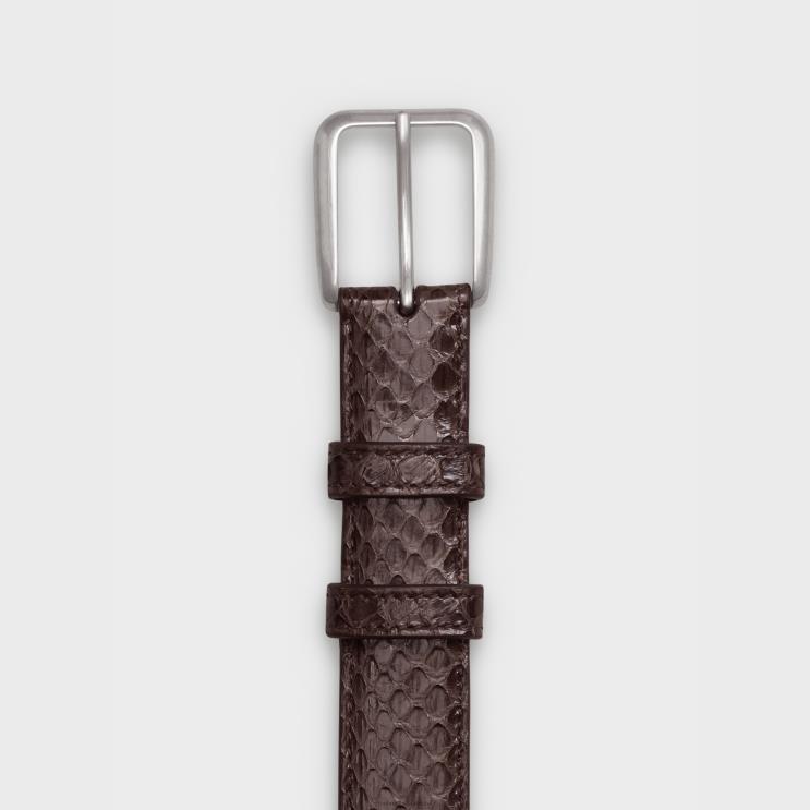 CELINE Ecorce Elegant Belt With Square Buckle in Watersnake R0ZNN2208