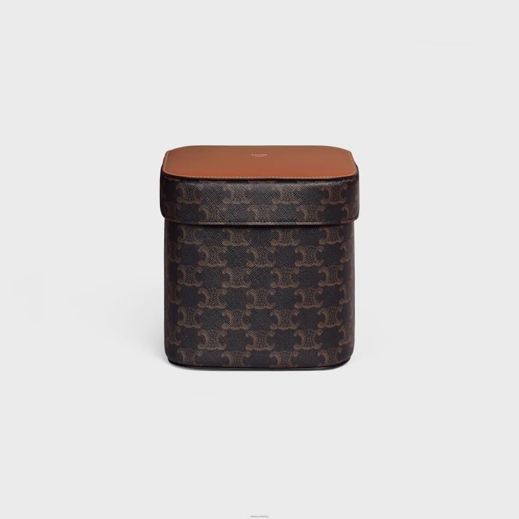 CELINE Tan Large Box in Triomphe Canvas & Calfskin R0ZNN1536