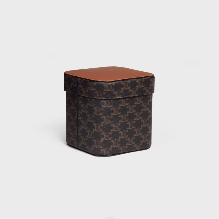 CELINE Tan Large Box in Triomphe Canvas & Calfskin R0ZNN1536