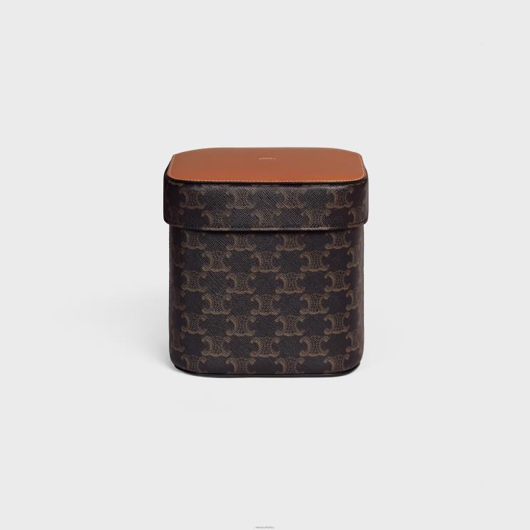 CELINE Tan Large Box in Triomphe Canvas & Calfskin R0ZNN1536