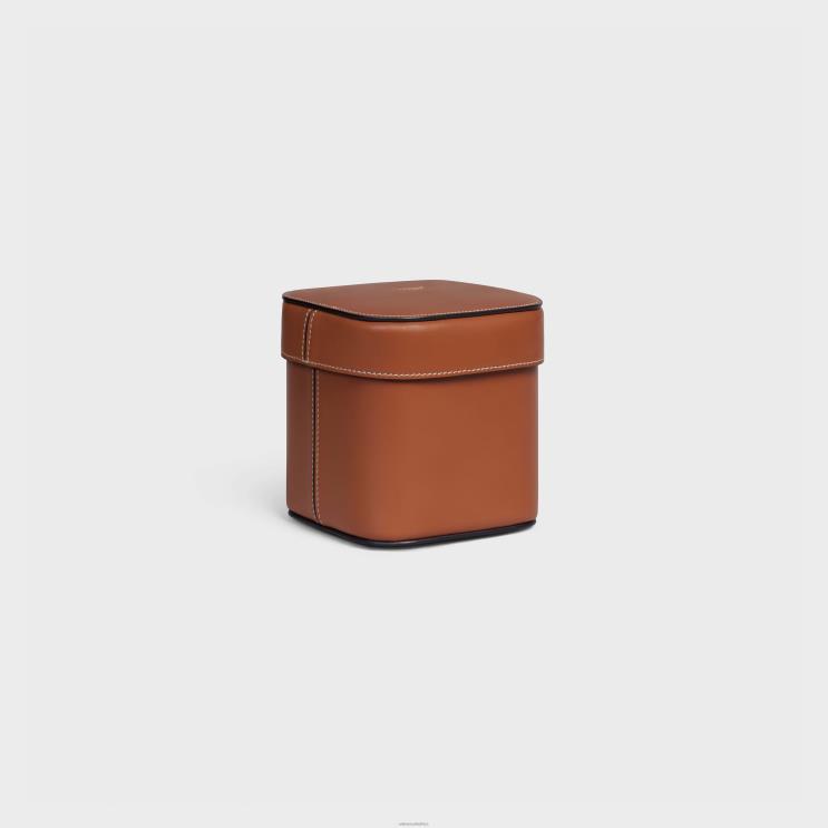 CELINE Tan Small Box in Shiny Calfskin R0ZNN1534