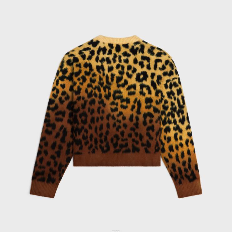 CELINE Camel/Brun Cropped Crew Neck Sweater in Brushed Cotton R0ZNN1981