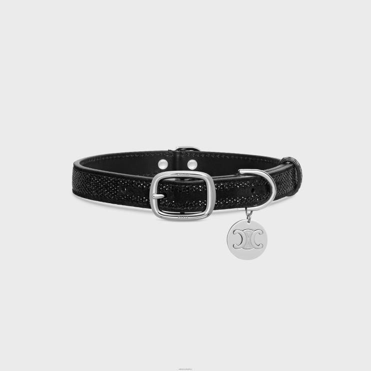 CELINE Black Medium Thin Dog Collar in Suede Calfskin With Strass R0ZNN1719