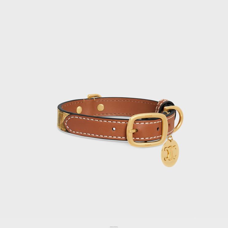CELINE Leopard Small Thin Dog Collar in Triomphe Canvas With Print & Calfskin R0ZNN1712