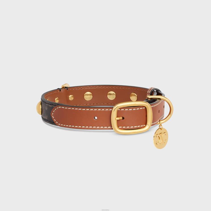 CELINE Tan Large Medium Dog Collar in Triomphe Canvas & Calfskin R0ZNN1753