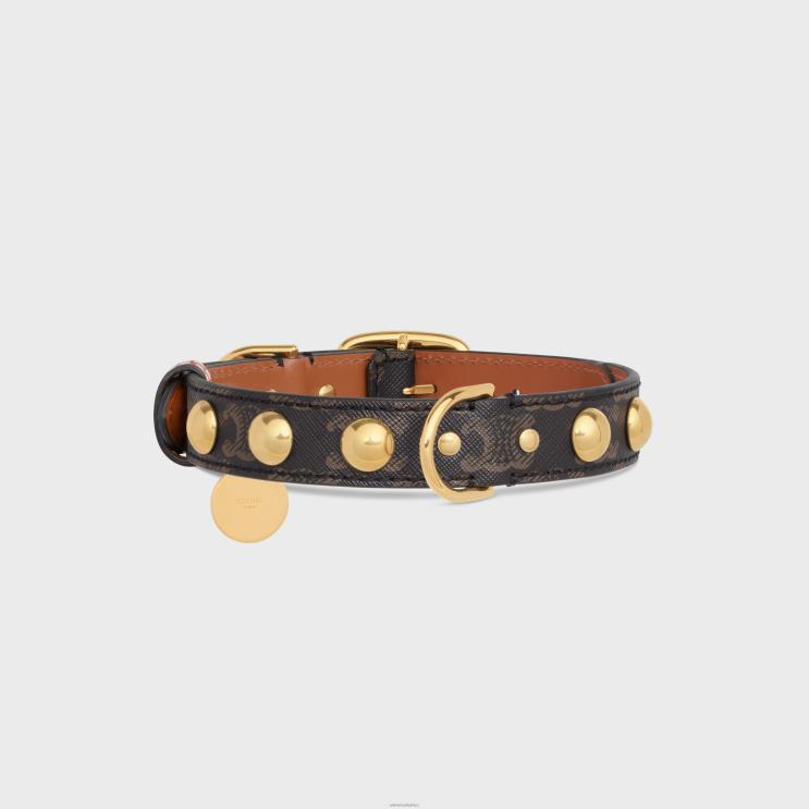 CELINE Tan Large Medium Dog Collar in Triomphe Canvas & Calfskin R0ZNN1753