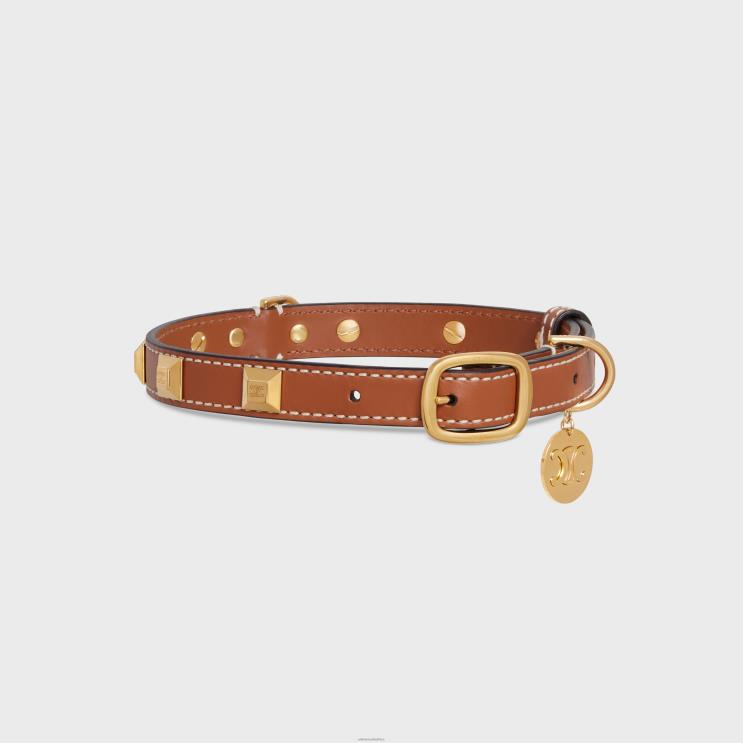 CELINE Tan Medium Thin Dog Collar in Smooth Calfskin With Pyramid Studs R0ZNN1730