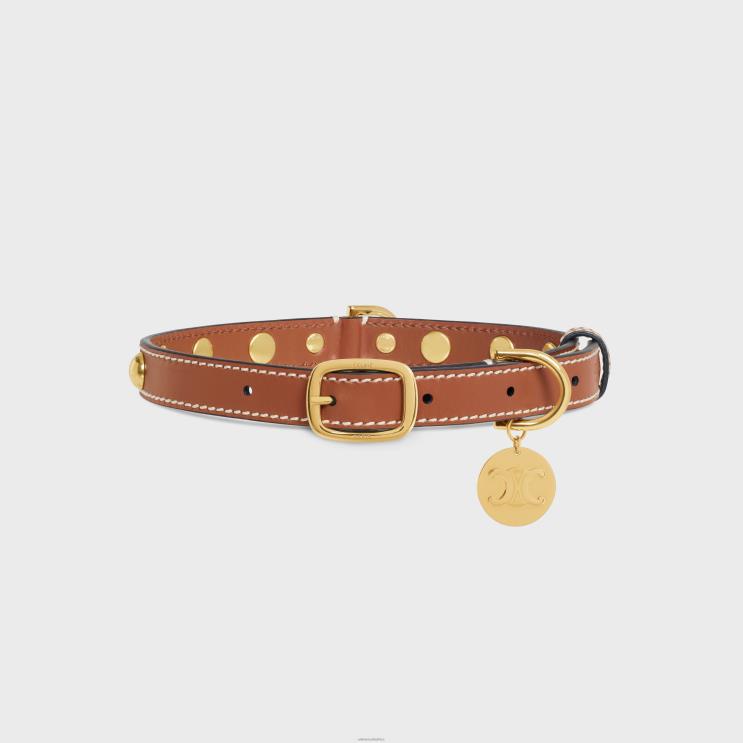 CELINE Tan Medium Thin Dog Collar in Smooth Calfskin With Studs R0ZNN1759