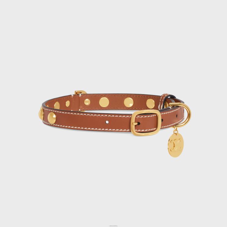 CELINE Tan Medium Thin Dog Collar in Smooth Calfskin With Studs R0ZNN1759