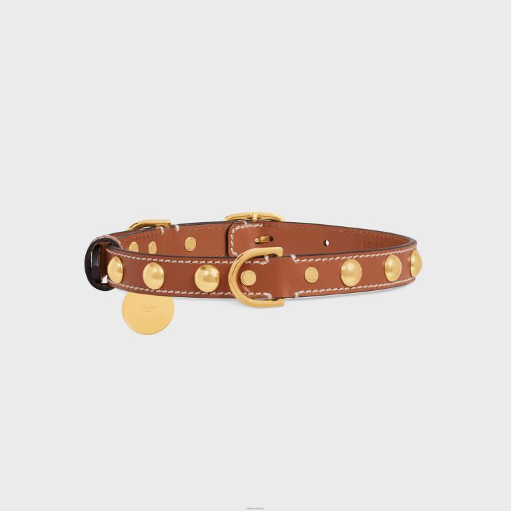 CELINE Tan Medium Thin Dog Collar in Smooth Calfskin With Studs R0ZNN1759