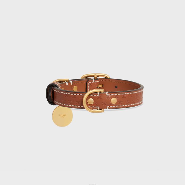 CELINE Tan Small Thin Dog Collar in Natural Calfskin With Triomphe Embossed R0ZNN1696