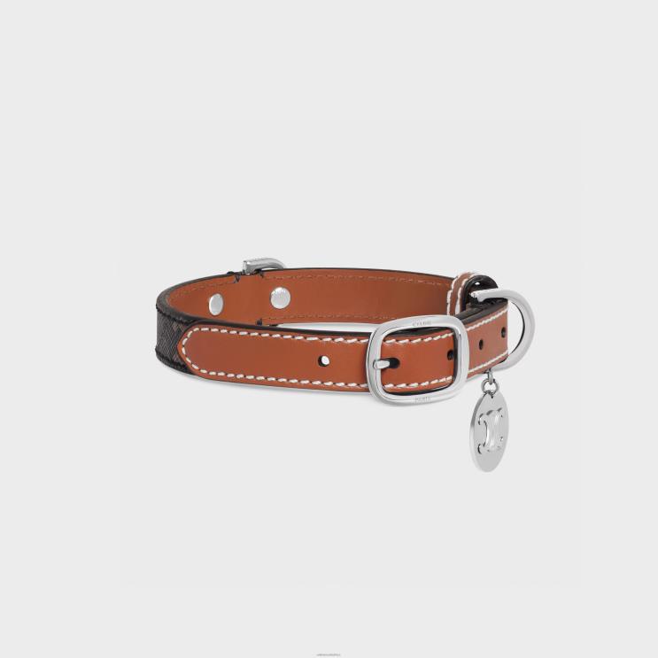 CELINE Tan Small Thin Dog Collar in Triomphe Canvas & Calfskin R0ZNN1765