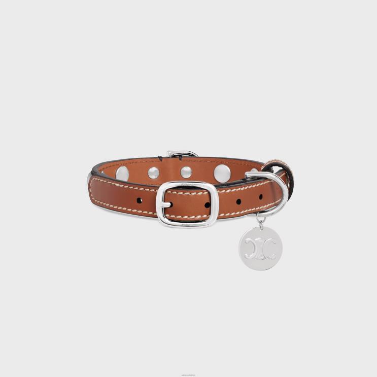 CELINE Tan Small Thin Dog Collar in Triomphe Canvas & Calfskin With Studs R0ZNN1738
