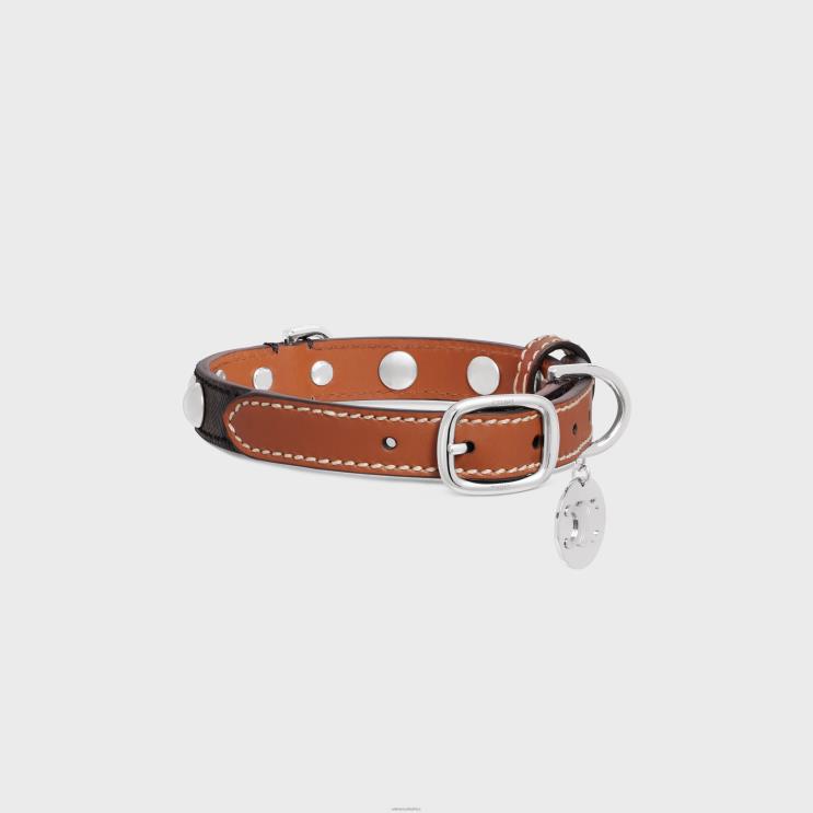 CELINE Tan Small Thin Dog Collar in Triomphe Canvas & Calfskin With Studs R0ZNN1738