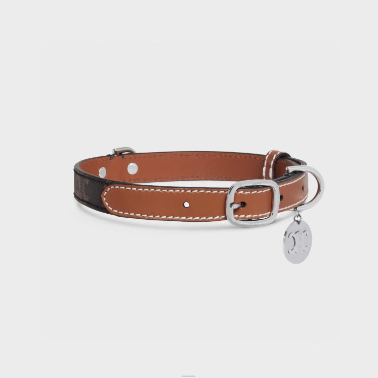 CELINE Tan Thin Medium Dog Collar in Triomphe Canvas & Calfskin R0ZNN1766