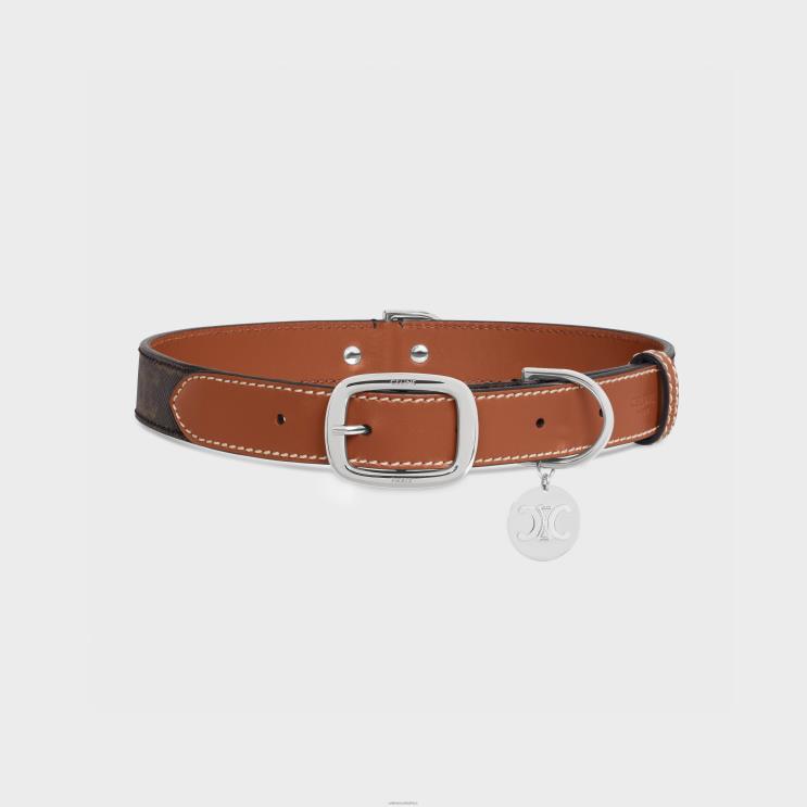 CELINE Tan Wide Large Dog Collar in Triomphe Canvas & Calfskin R0ZNN1767