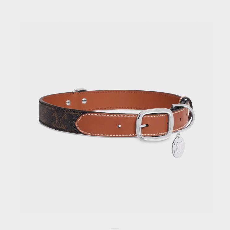 CELINE Tan Wide Large Dog Collar in Triomphe Canvas & Calfskin R0ZNN1767