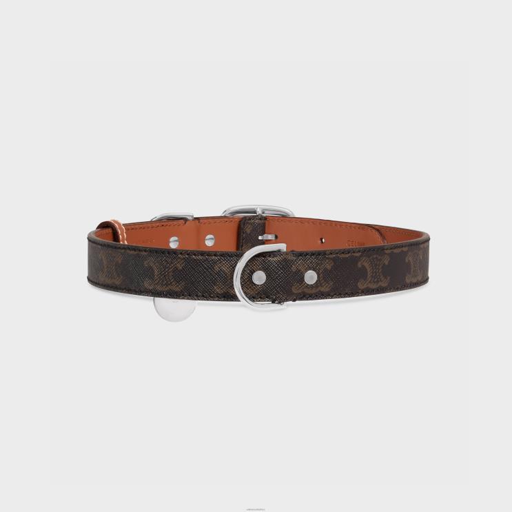 CELINE Tan Wide Large Dog Collar in Triomphe Canvas & Calfskin R0ZNN1767