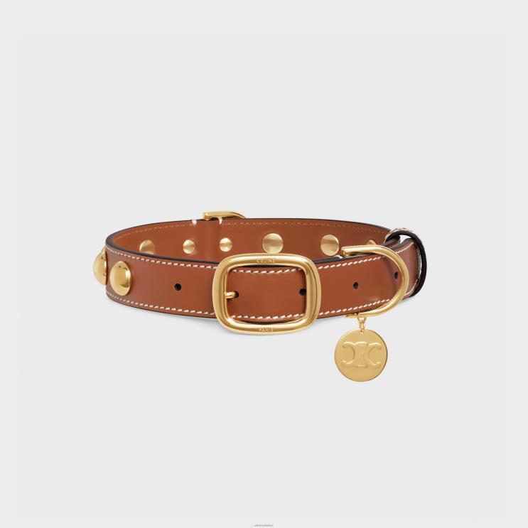 CELINE Tan Wide Medium Dog Collar in Smooth Calfskin With Studs R0ZNN1760