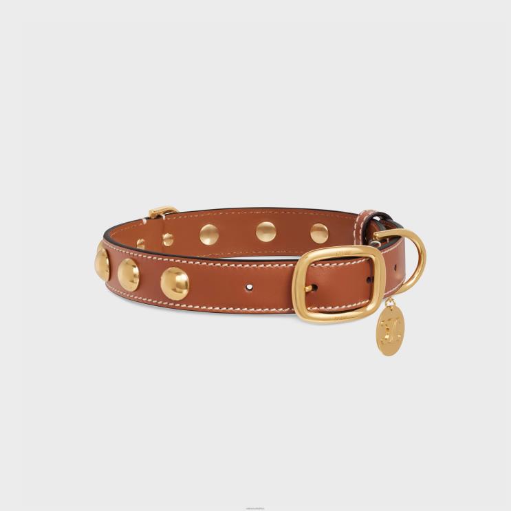 CELINE Tan Wide Medium Dog Collar in Smooth Calfskin With Studs R0ZNN1760