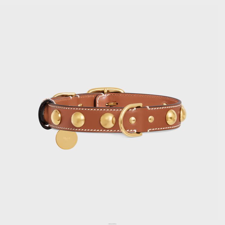 CELINE Tan Wide Medium Dog Collar in Smooth Calfskin With Studs R0ZNN1760