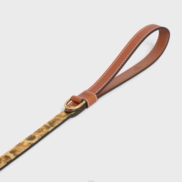 CELINE Leopard Thin Dog Leash in Triomphe Canvas With Print & Calfskin R0ZNN1713