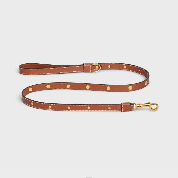 CELINE Tan Thin Dog Leash in Smooth Calfskin With Studs Triomphe R0ZNN1727