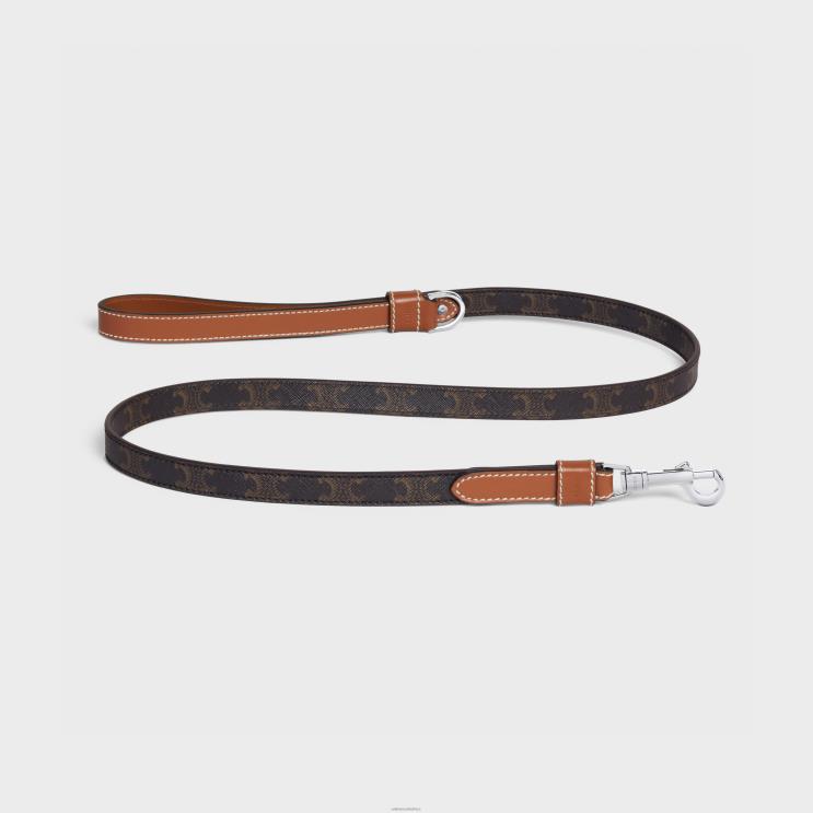 CELINE Tan Thin Dog Leash in Triomphe Canvas & Calfskin R0ZNN1768