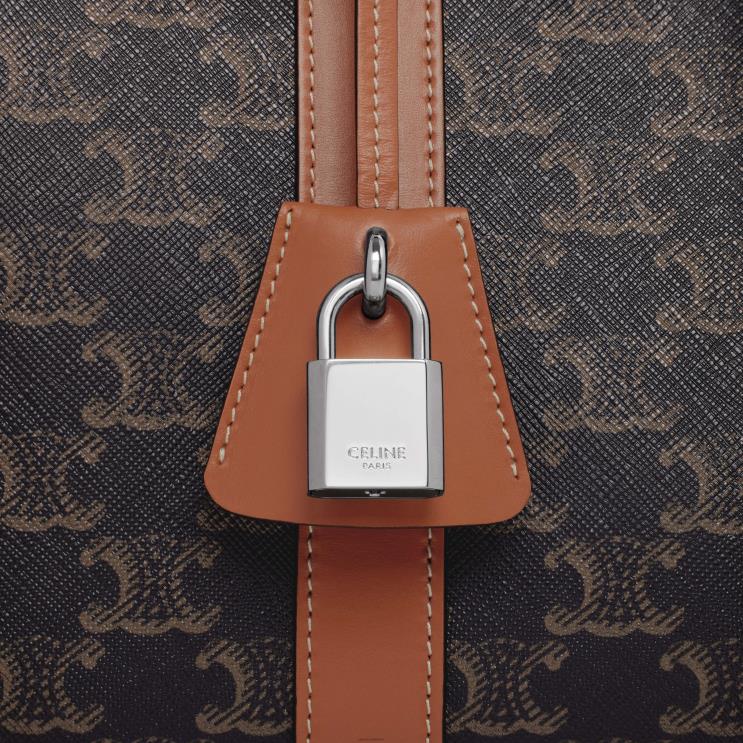 CELINE Tan Travel Dog Bag in Triomphe Canvas & Calfksin R0ZNN1700
