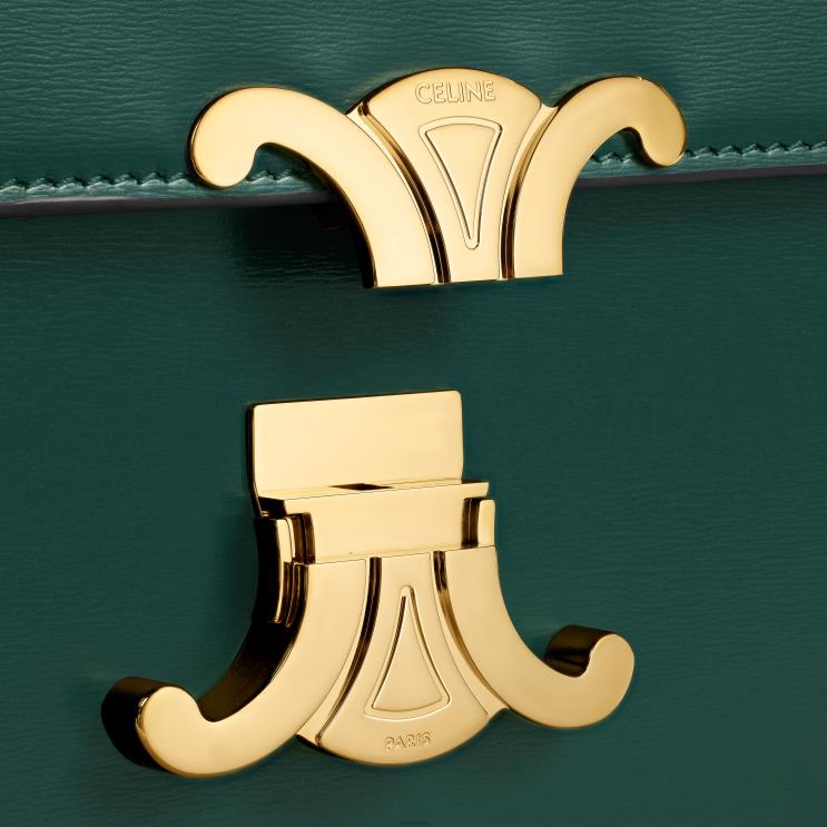 CELINE Amazone Classique Triomphe Bag in Shiny Calfskin R0ZNN42