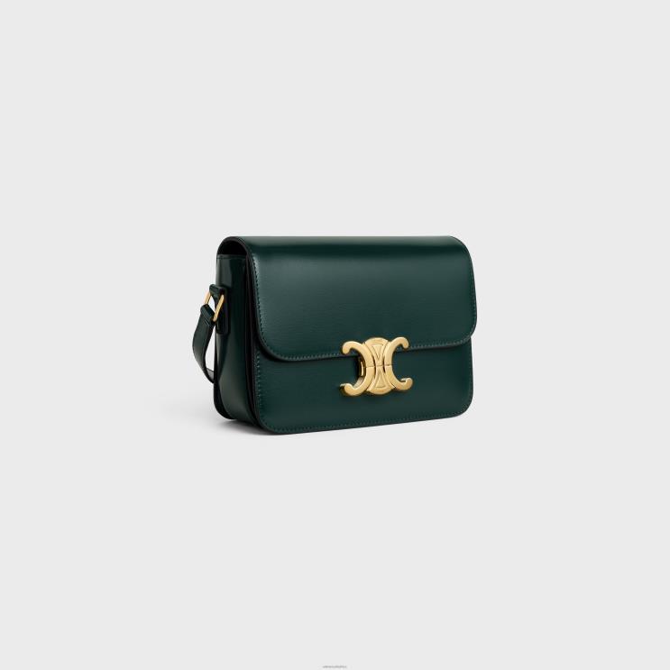 CELINE Amazone Teen Triomphe Bag in Shiny Calfskin R0ZNN99