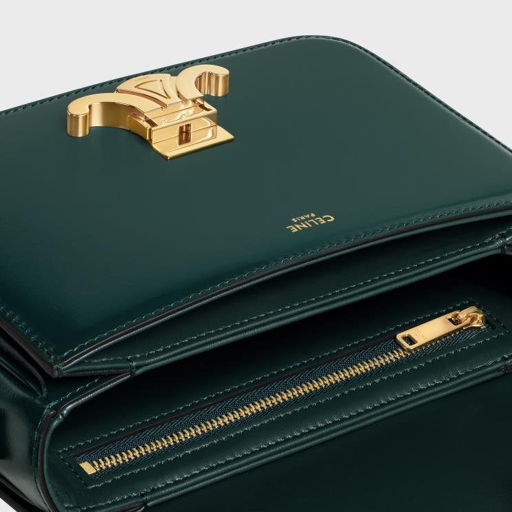 CELINE Amazone Teen Triomphe Bag in Shiny Calfskin R0ZNN99