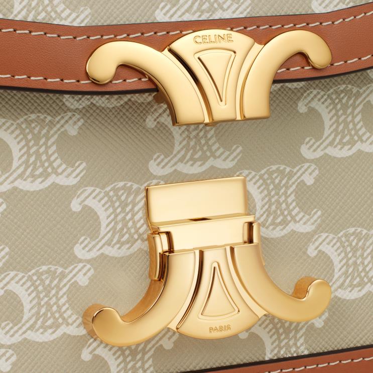 CELINE Grege Teen Triomphe Bag in Triomphe Canvas & Calfskin R0ZNN216