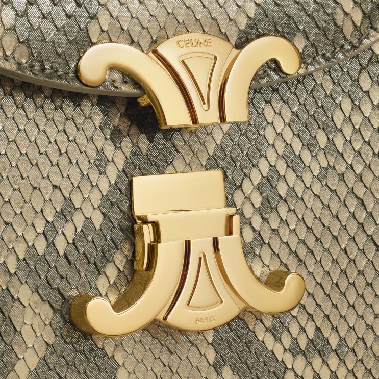 CELINE Natural Chain Besace Clea in Pearly Python R0ZNN37