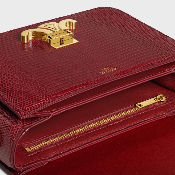 CELINE Ruby Teen Triomphe Bag in Lizard R0ZNN22