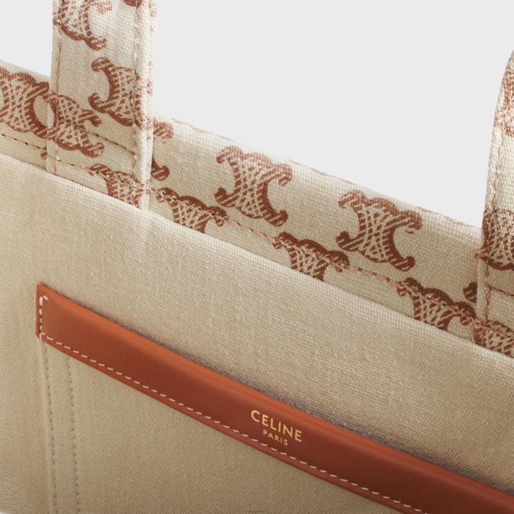 CELINE White Small Cabas Thais in Textile With Triomphe Canvas Print & Calfskin R0ZNN250