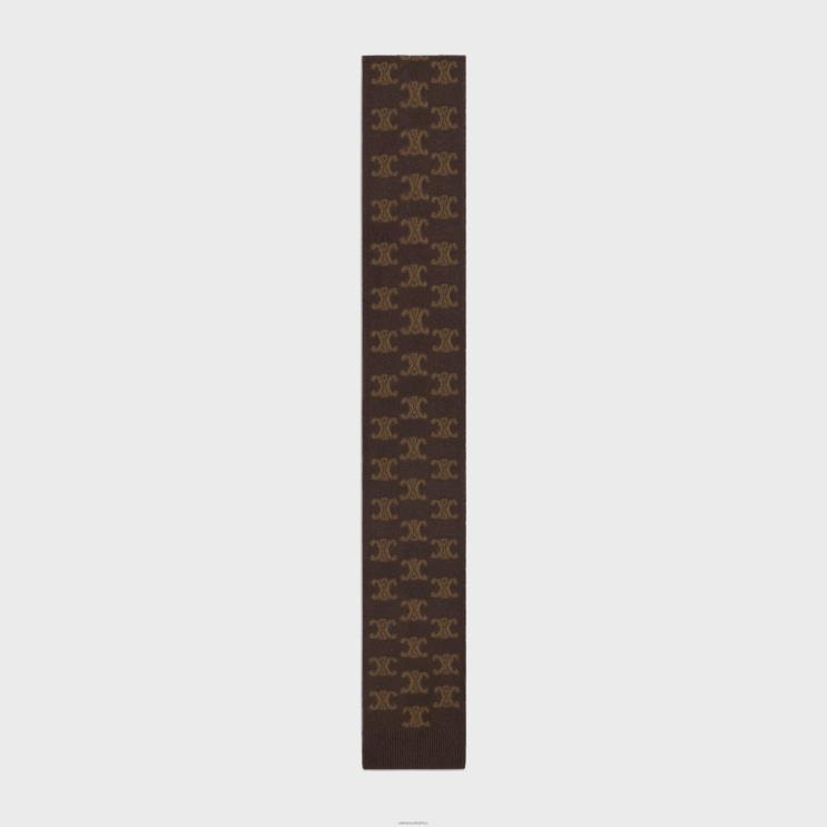 CELINE Brown Scarf in Monogram Wool, Cashmere & Silk R0ZNN1183