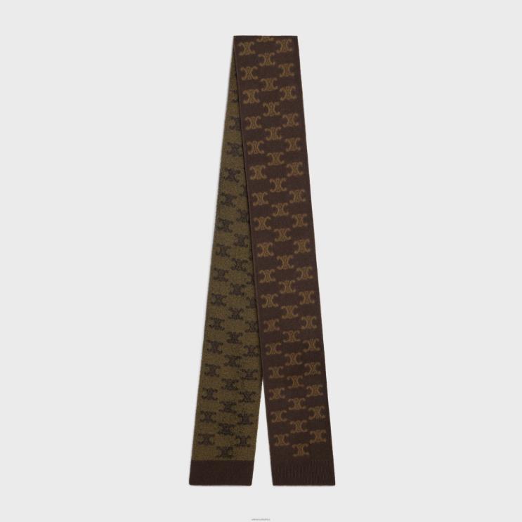 CELINE Brown Scarf in Monogram Wool, Cashmere & Silk R0ZNN1183